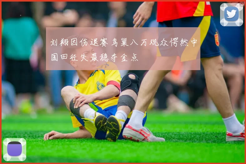 刘翔因伤退赛鸟巢八万观众愕然中国田径失最稳夺金点