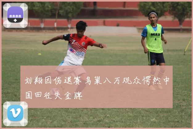 刘翔因伤退赛鸟巢八万观众愕然中国田径失金牌