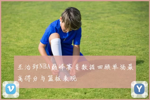 王治郅NBA巅峰赛季数据回顾单场最高得分与篮板表现